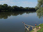 Drava bei Donji Miholjac